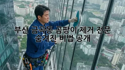 부산 금곡동 곰팡이 제거 전문: 숨겨진 비법 공개!